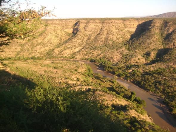 Experience Ethiopia's premier wildlife destination, Awash National Park, with its dramatic Awash River gorge, hot springs, and diverse wildlife including Beisa oryx, kudus, and over 400 bird species i