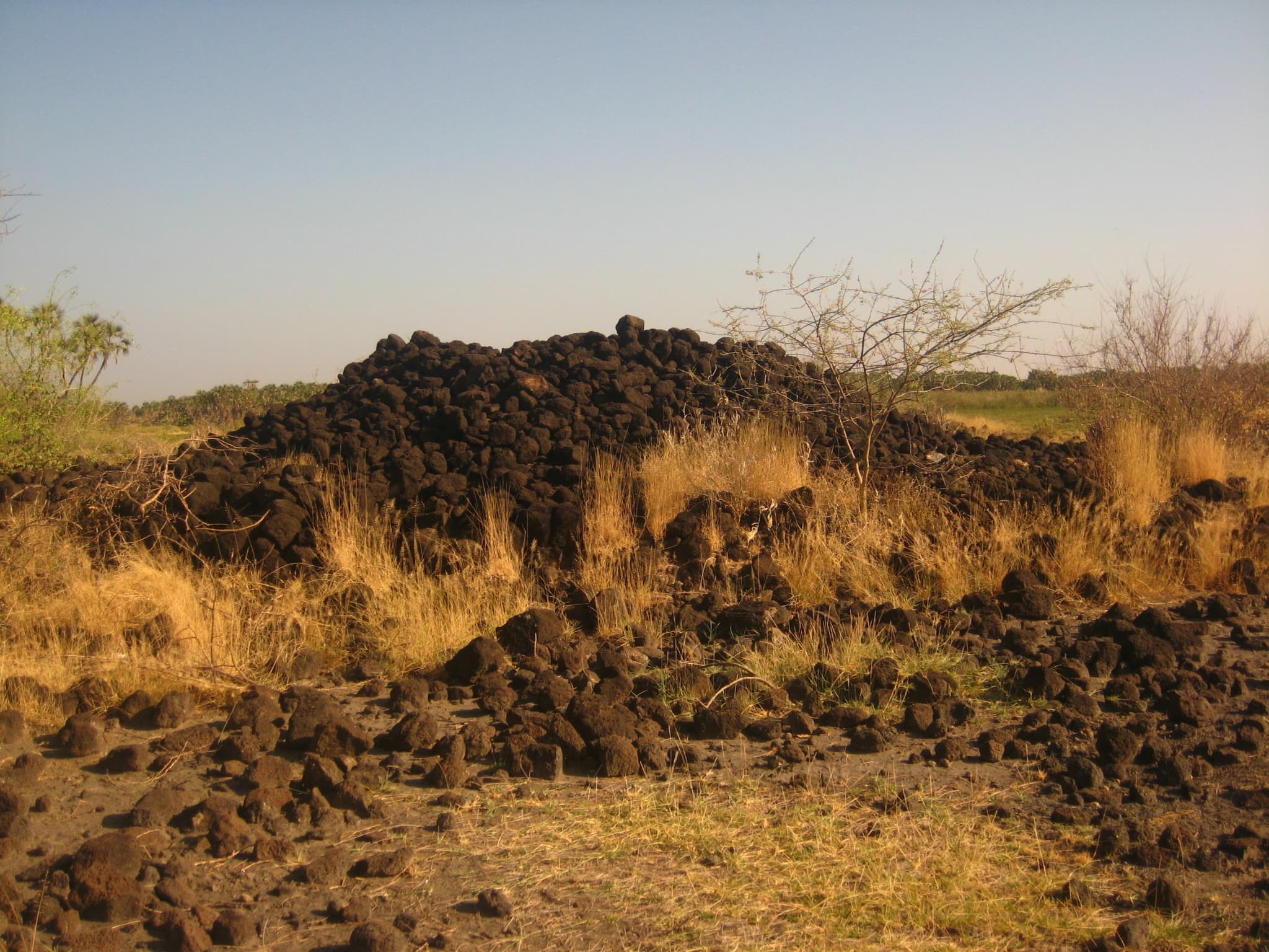 Paleontological site where 'Lucy' (Australopithecus afarensis) was discovered in 1974. One of the most important fossil sites for understanding human evolution, with remains dating back 3.2 million ye